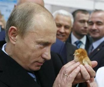 プーチン露大統領に贈った秋田犬「ゆめ」生きていた！日本メディアのインタビューに登場
