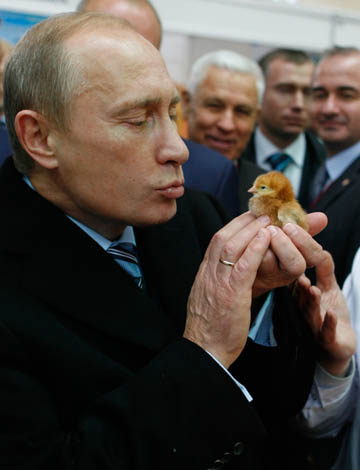 プーチン露大統領に贈った秋田犬「ゆめ」生きていた！日本メディアのインタビューに登場