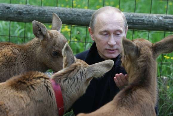 プーチン露大統領に贈った秋田犬「ゆめ」生きていた！日本メディアのインタビューに登場
