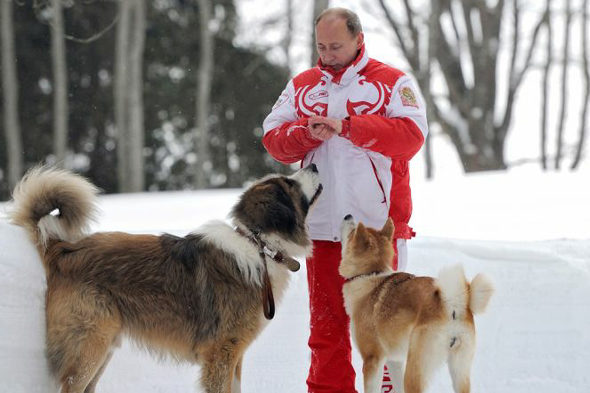 プーチン露大統領に贈った秋田犬「ゆめ」生きていた！日本メディアのインタビューに登場