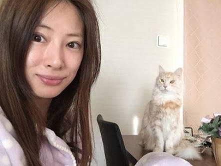 芸能人を勝手にメイク！