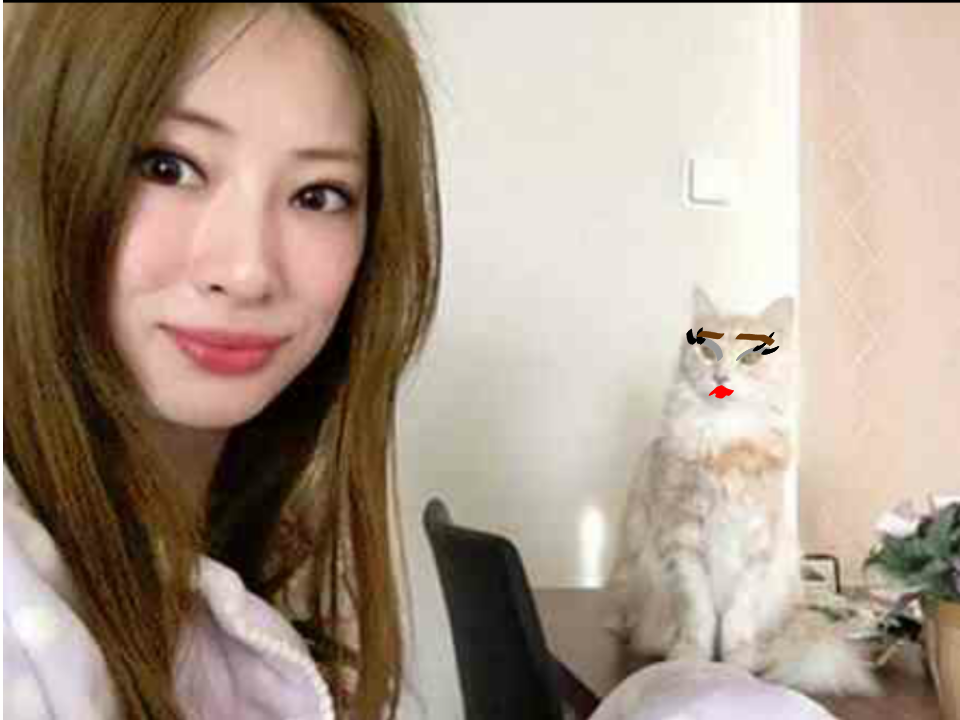 芸能人を勝手にメイク！