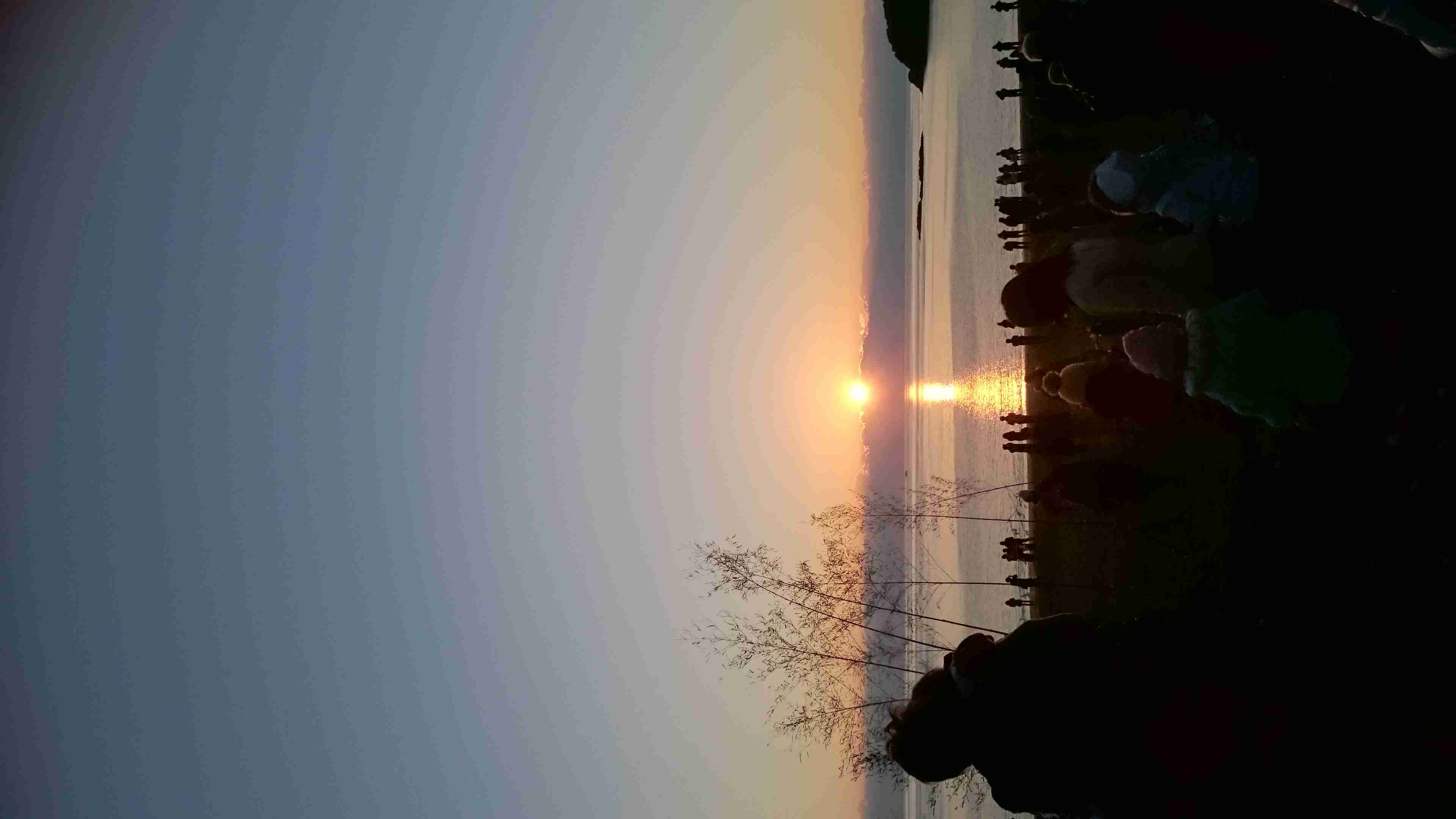 徳島県出身の人!