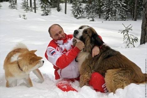 プーチン大統領への秋田犬贈呈見送り　ロシア側から断りの連絡