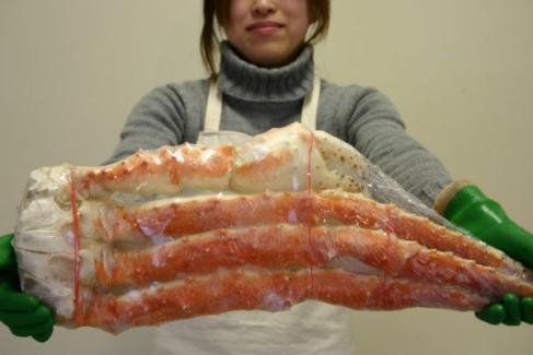 自分は一生やらないと思うこと