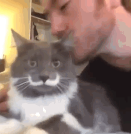 仕事できなさすぎて辞めたい人(^o^)/