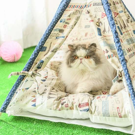 ふわふわが集まるトピ