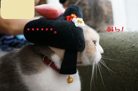 ふわふわが集まるトピ