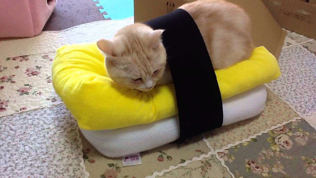 ふわふわが集まるトピ