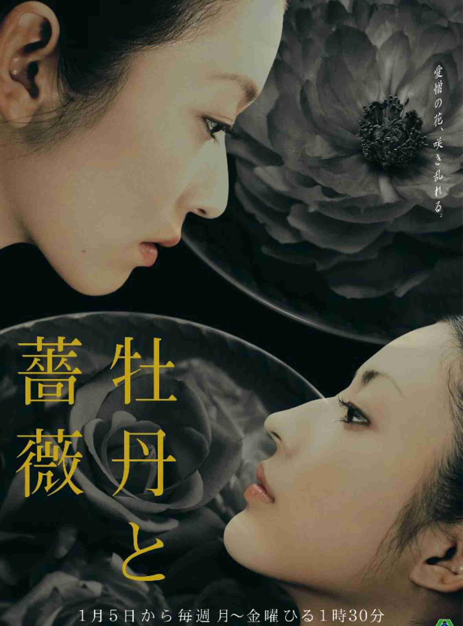 「牡丹と薔薇」が好きな人~