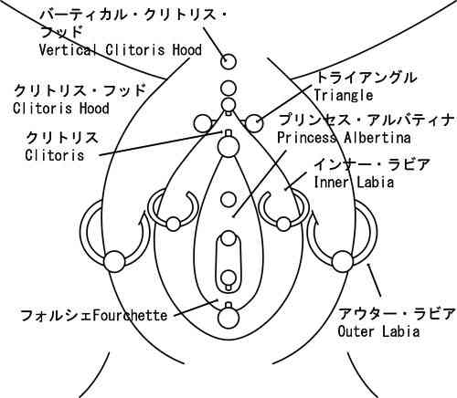ボディピアスに興味がある女子集合！！