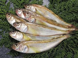 マイナーだけど好きな食べ物