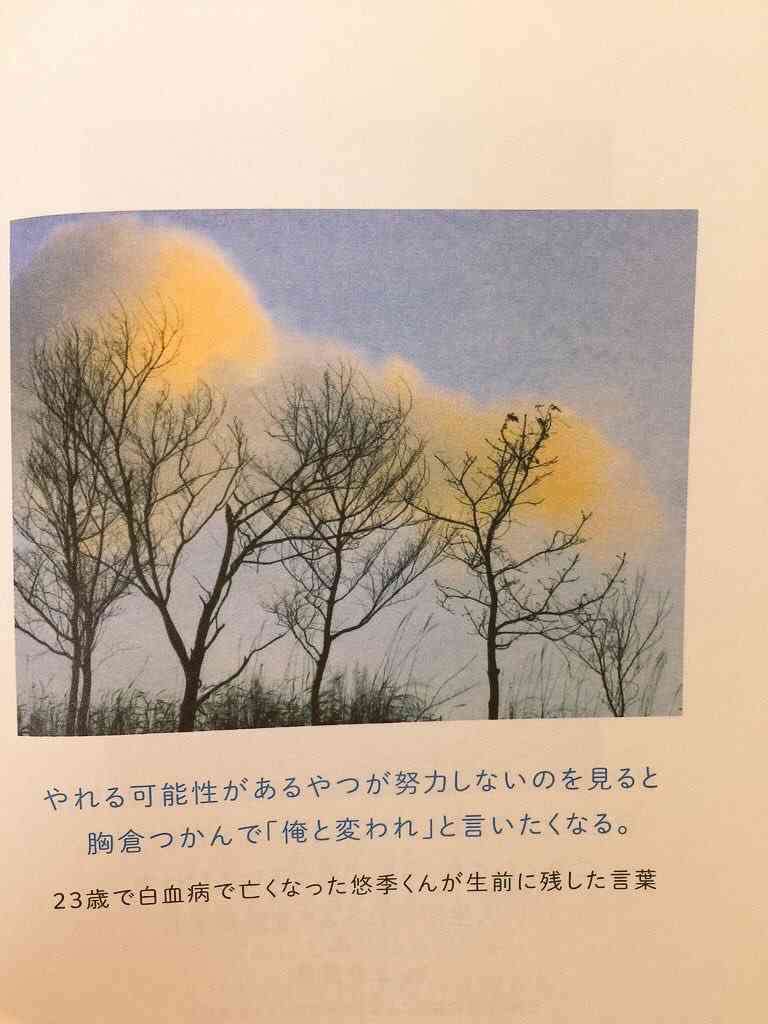 グッときた画像を貼るトピ