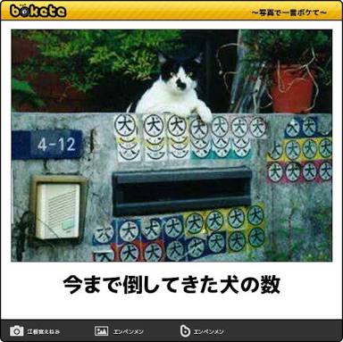 グッときた画像を貼るトピ