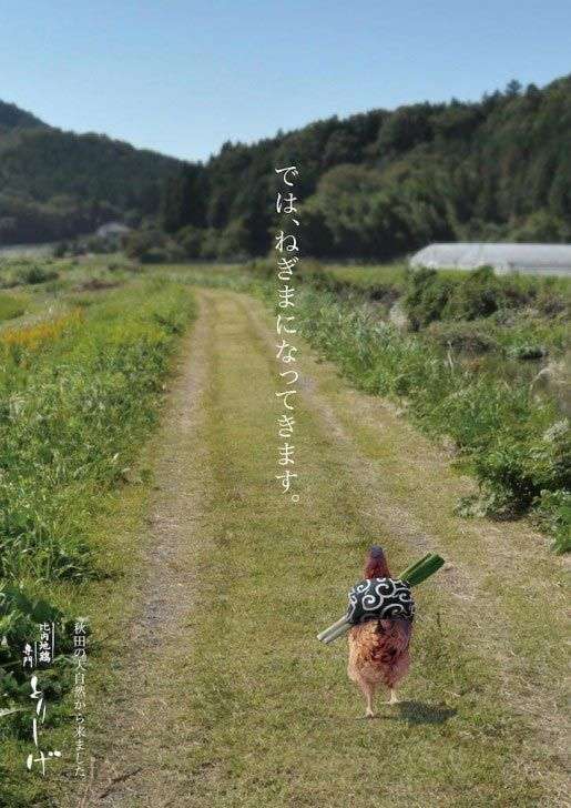 グッときた画像を貼るトピ