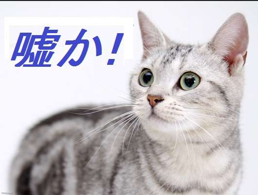 とっさに嘘ついてしまう人が集まるトピ