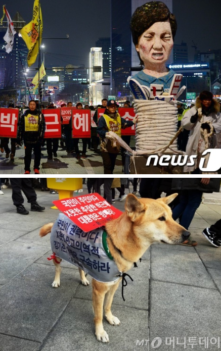 仁川国際空港で係員のミスで犬が脱出し滑走路に　仕方なく射殺（韓国）