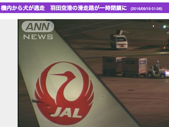 仁川国際空港で係員のミスで犬が脱出し滑走路に　仕方なく射殺（韓国）