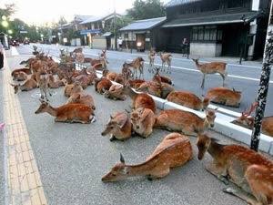 【ネタトピ】サンタです、助けて下さい。