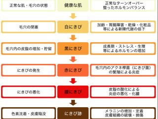 肌が汚くても彼氏できますか?