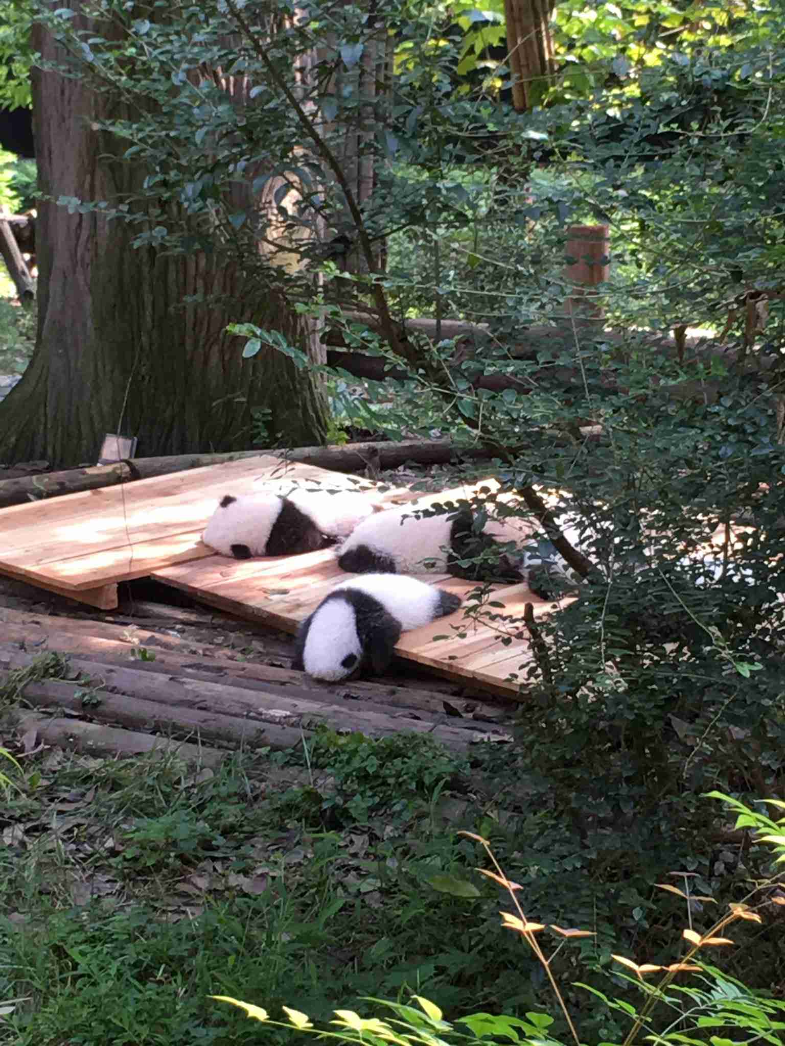 あー彼氏が欲しい!!!!!