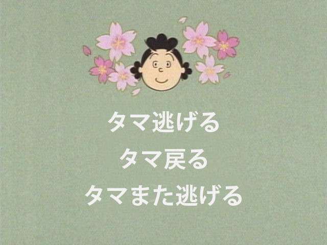 サザエさん8(・・#)8の面白画像を集めるトピ