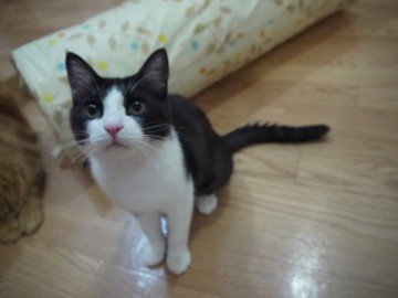 あとこれさえあれば幸せなのに