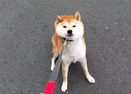 JAFさんこれ頼む！JAFの公式が無茶ぶりに神対応ぶりを見せつける！