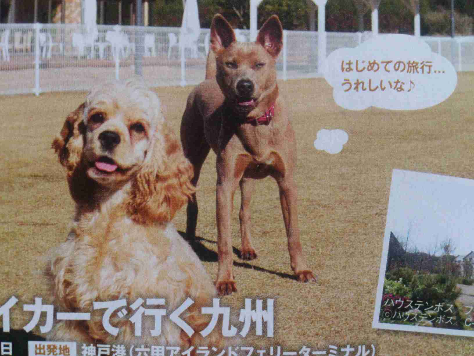 JAFさんこれ頼む！JAFの公式が無茶ぶりに神対応ぶりを見せつける！