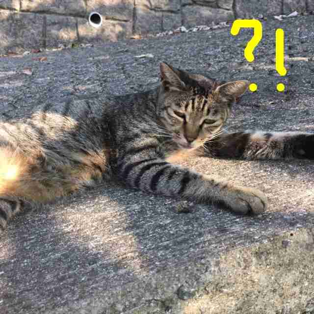 訪問セールスの撃退法