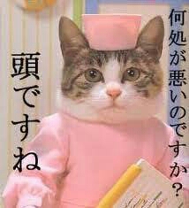 母親が子供の前で“裸エプロン”、批判殺到