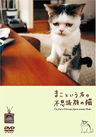 オススメの、犬や猫のマンガ