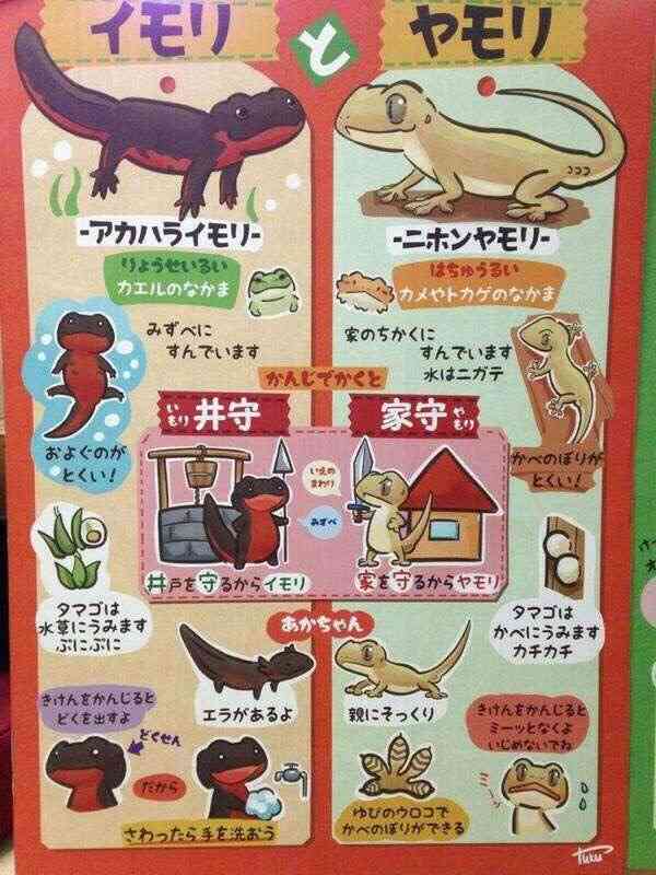 思わずスクショした画像を貼るトピ