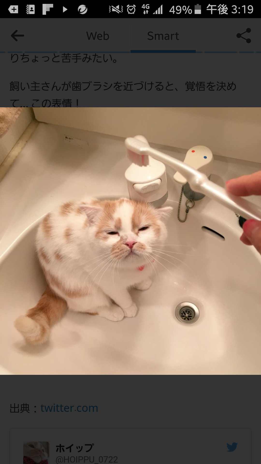 思わずスクショした画像を貼るトピ