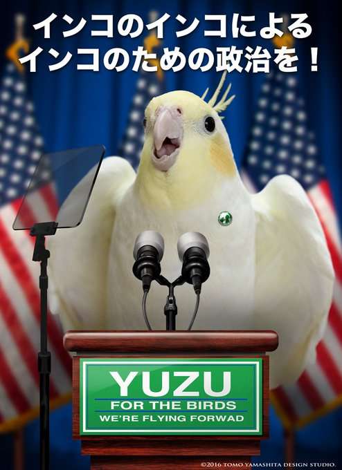 思わずスクショした画像を貼るトピ
