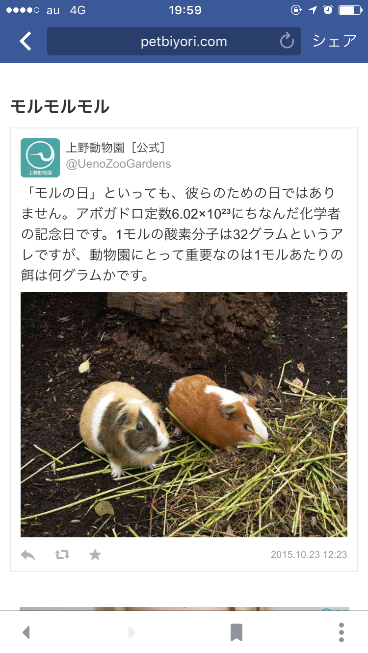 思わずスクショした画像を貼るトピ