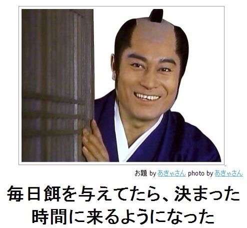 思わずスクショした画像を貼るトピ