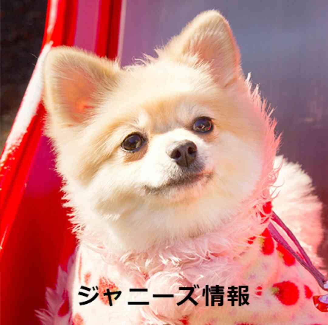 思わずスクショした画像を貼るトピ