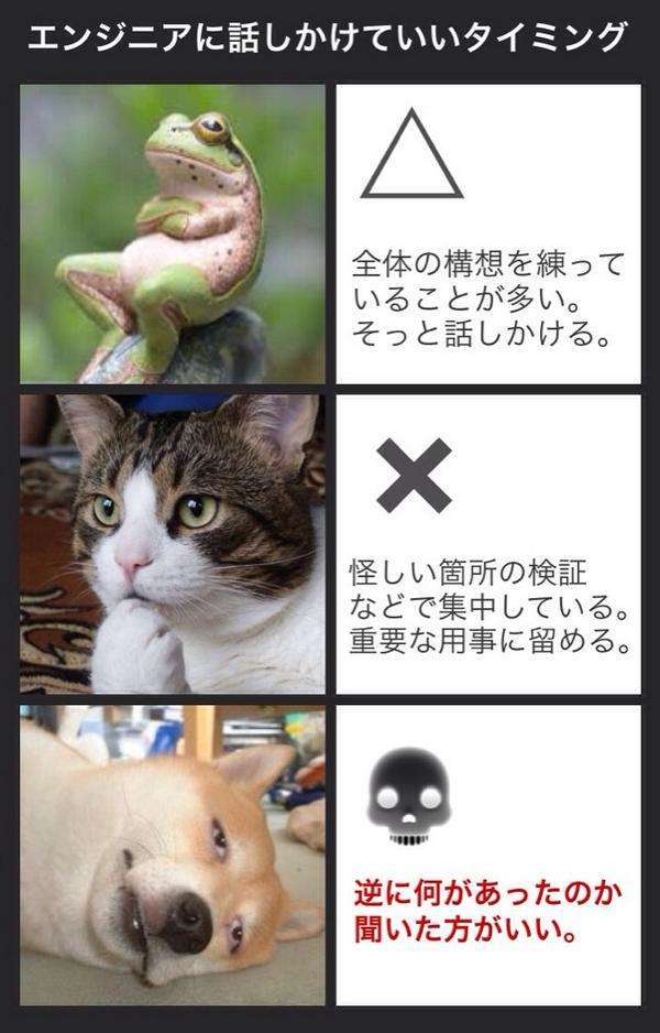 思わずスクショした画像を貼るトピ