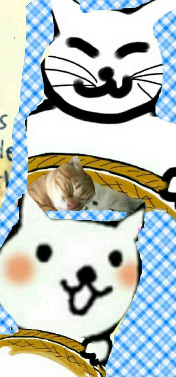 【お絵描き】子猫産まれました(=^ェ^=)