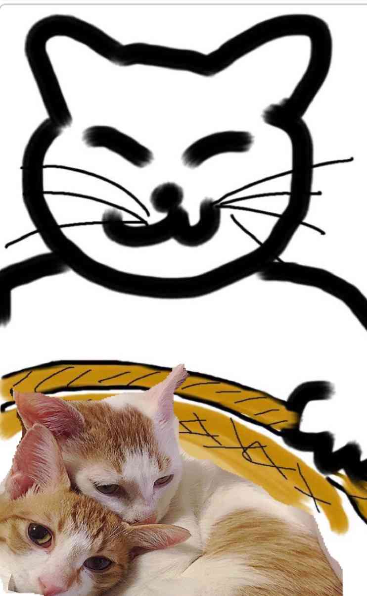 【お絵描き】子猫産まれました(=^ェ^=)