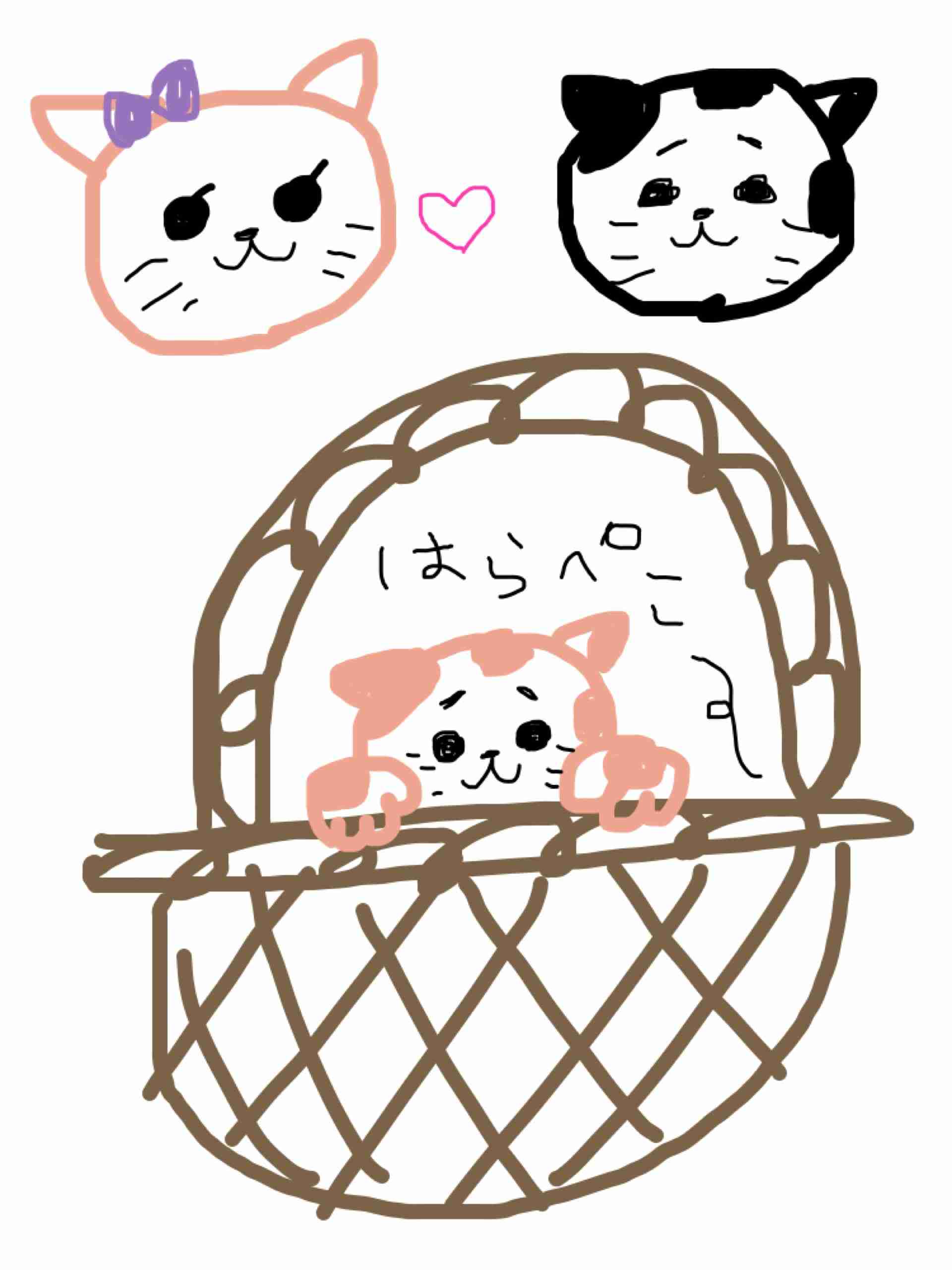 【お絵描き】子猫産まれました(=^ェ^=)