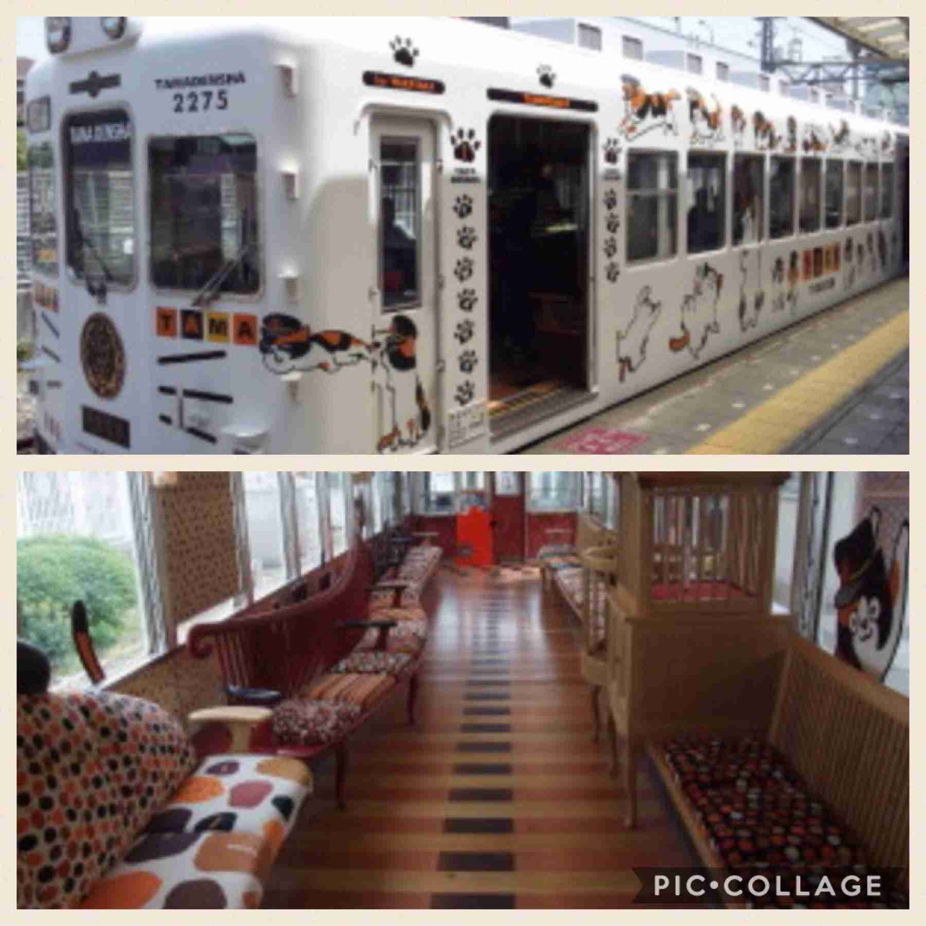 電車好きな人集まれ～！ 面白いラッピング電車を語ろう(^_^)