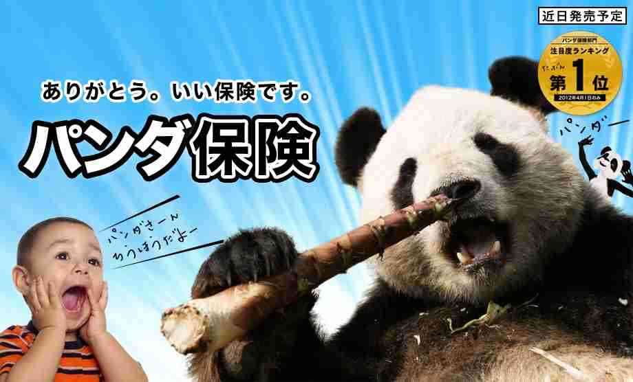 パンダの画像を貼るトピ