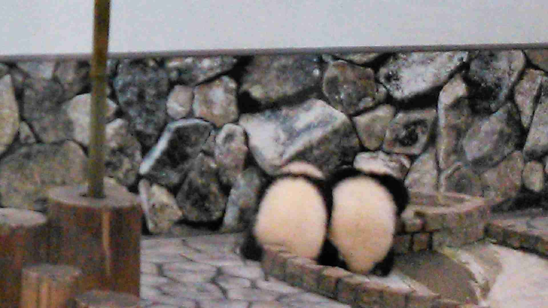 パンダの画像を貼るトピ