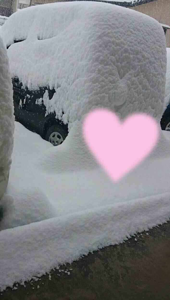 今いる場所の雪の様子を教えてください
