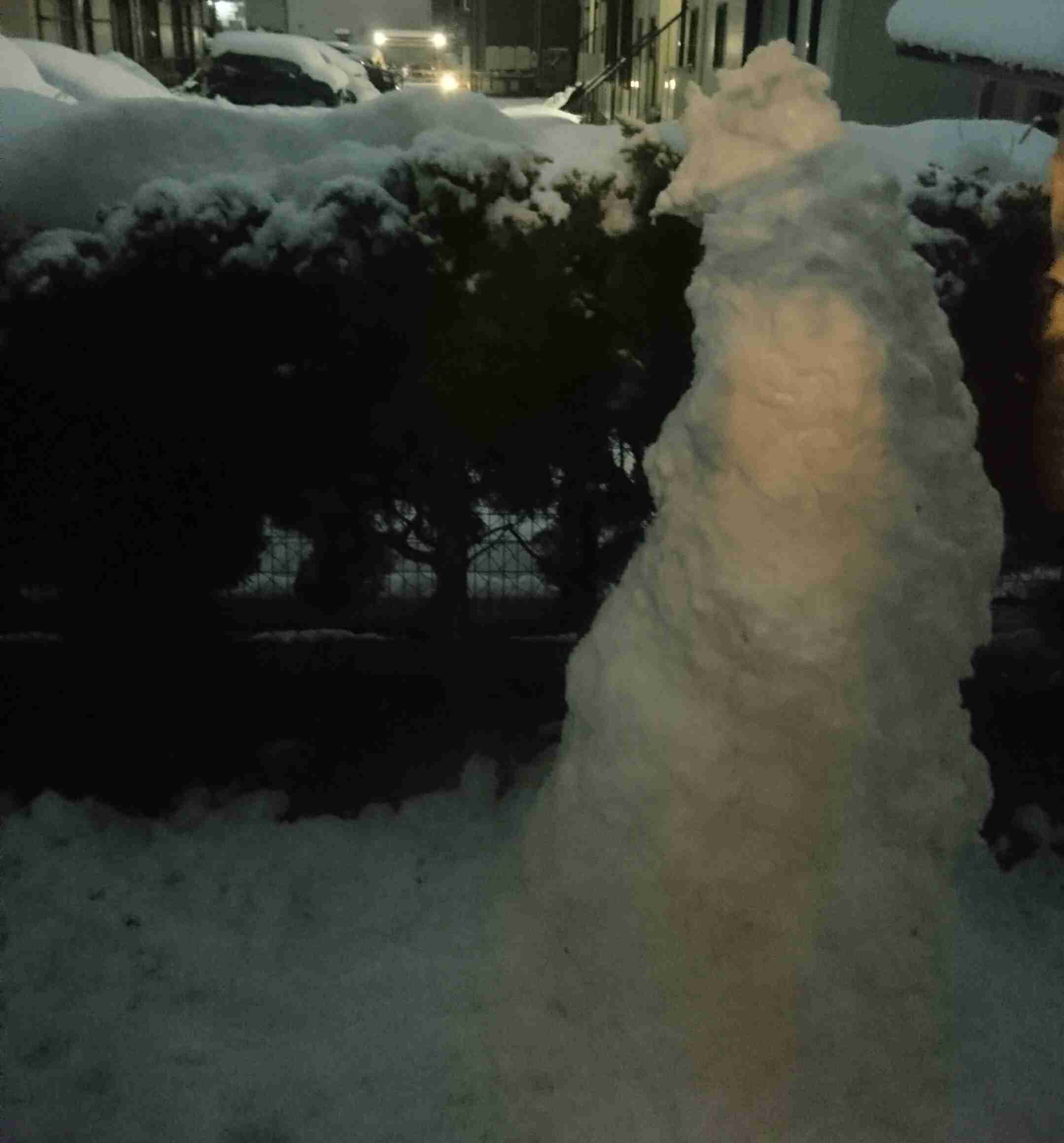 今いる場所の雪の様子を教えてください