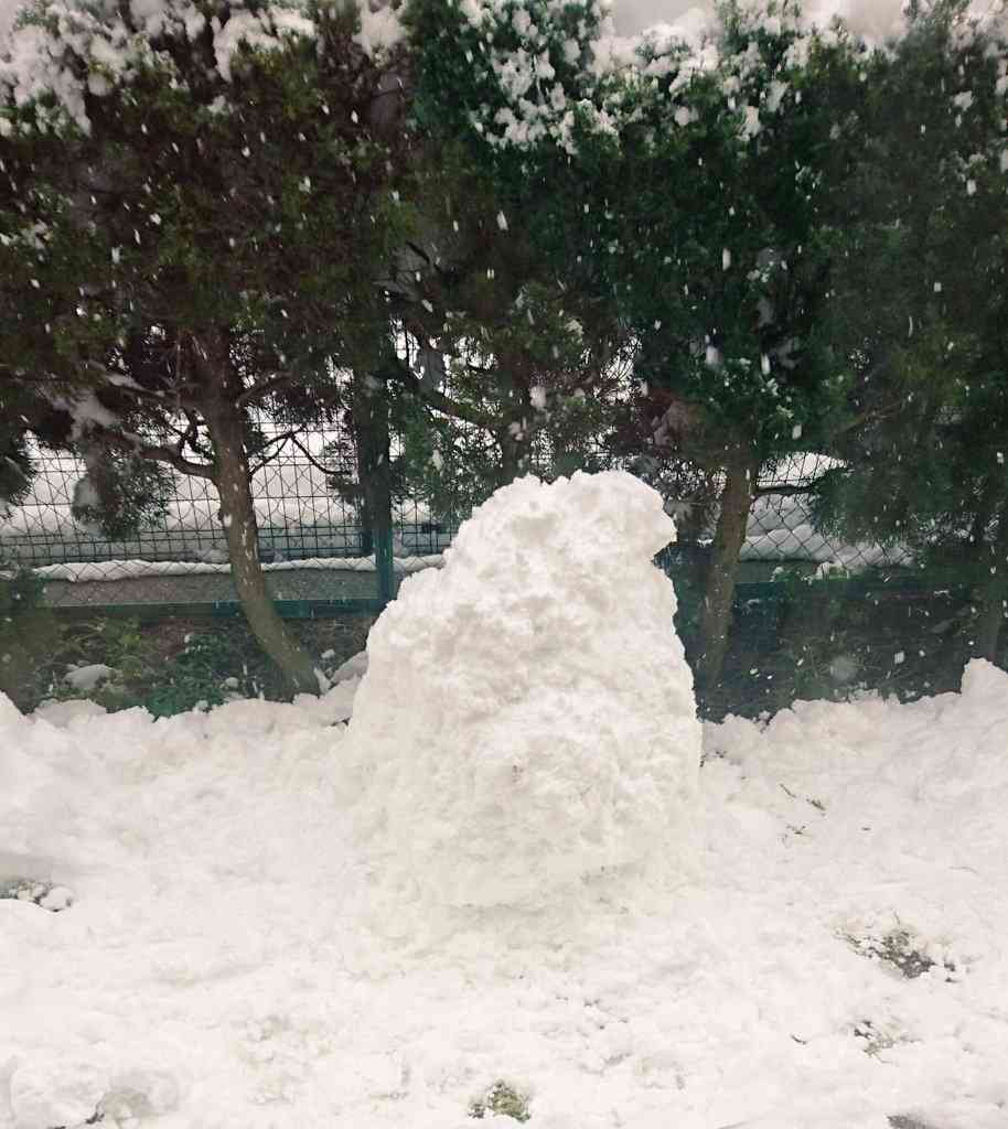 今いる場所の雪の様子を教えてください