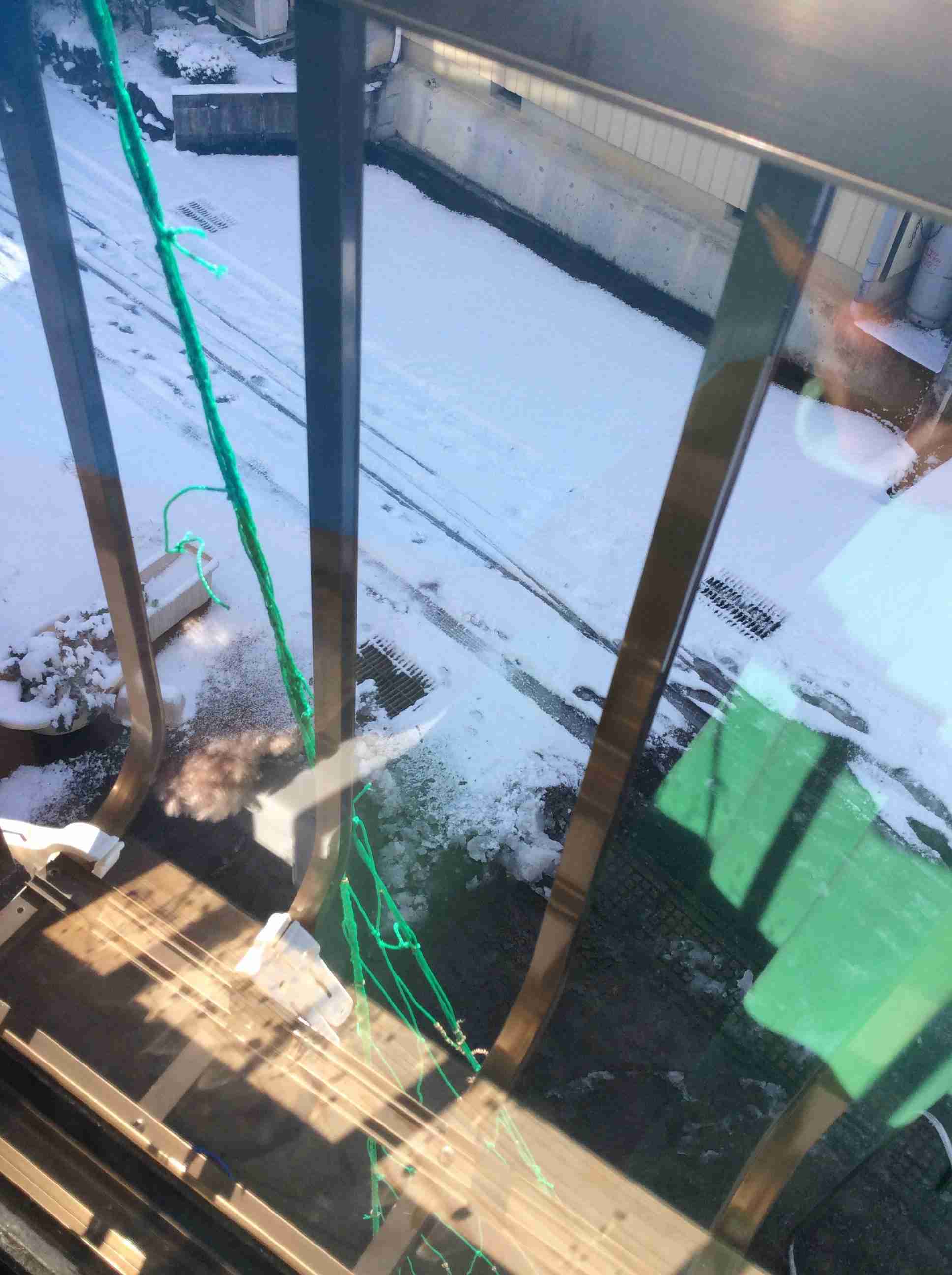 今いる場所の雪の様子を教えてください