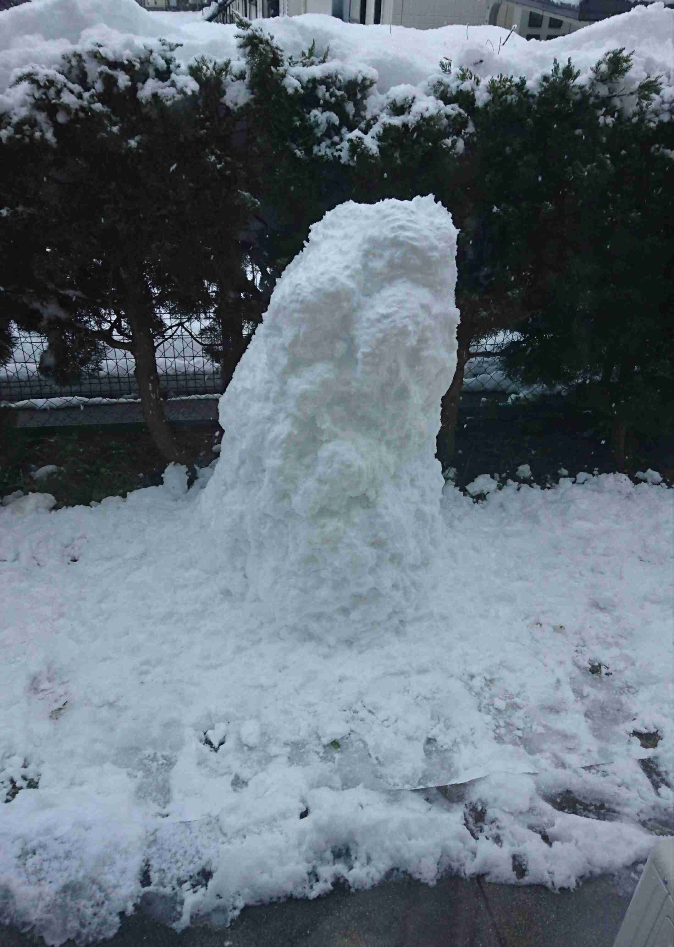 今いる場所の雪の様子を教えてください